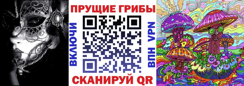 Купить закладки  Тында  Псилоцибиновые грибы GOLDEN TEACHER 